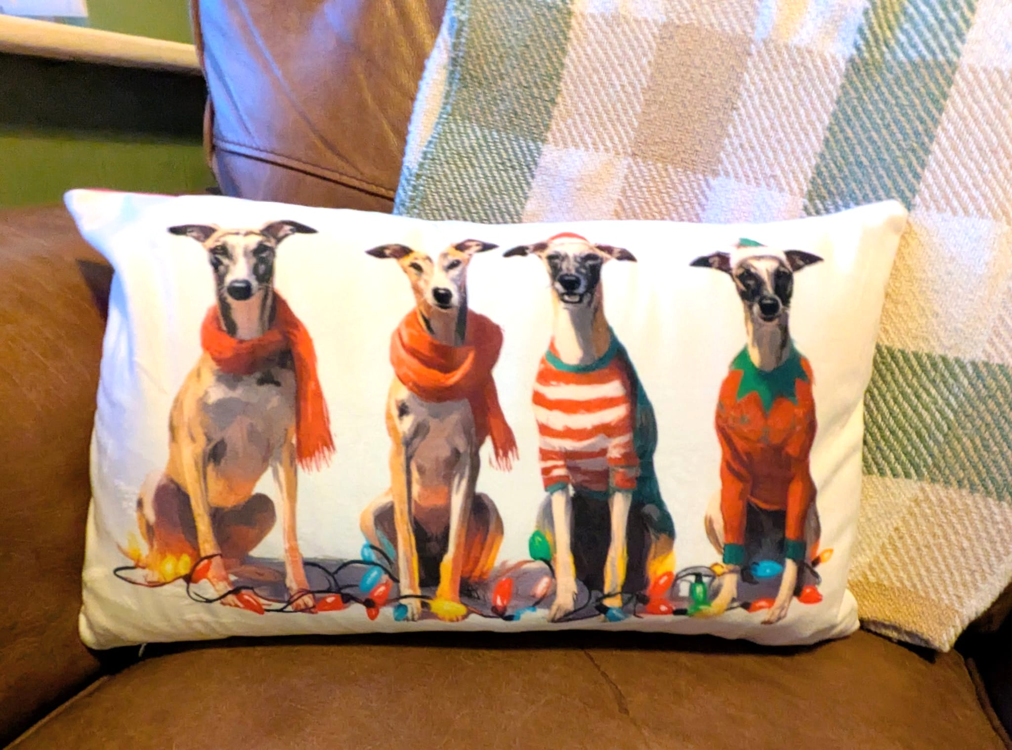 The 4 Wise Hounds Christmas Cushion