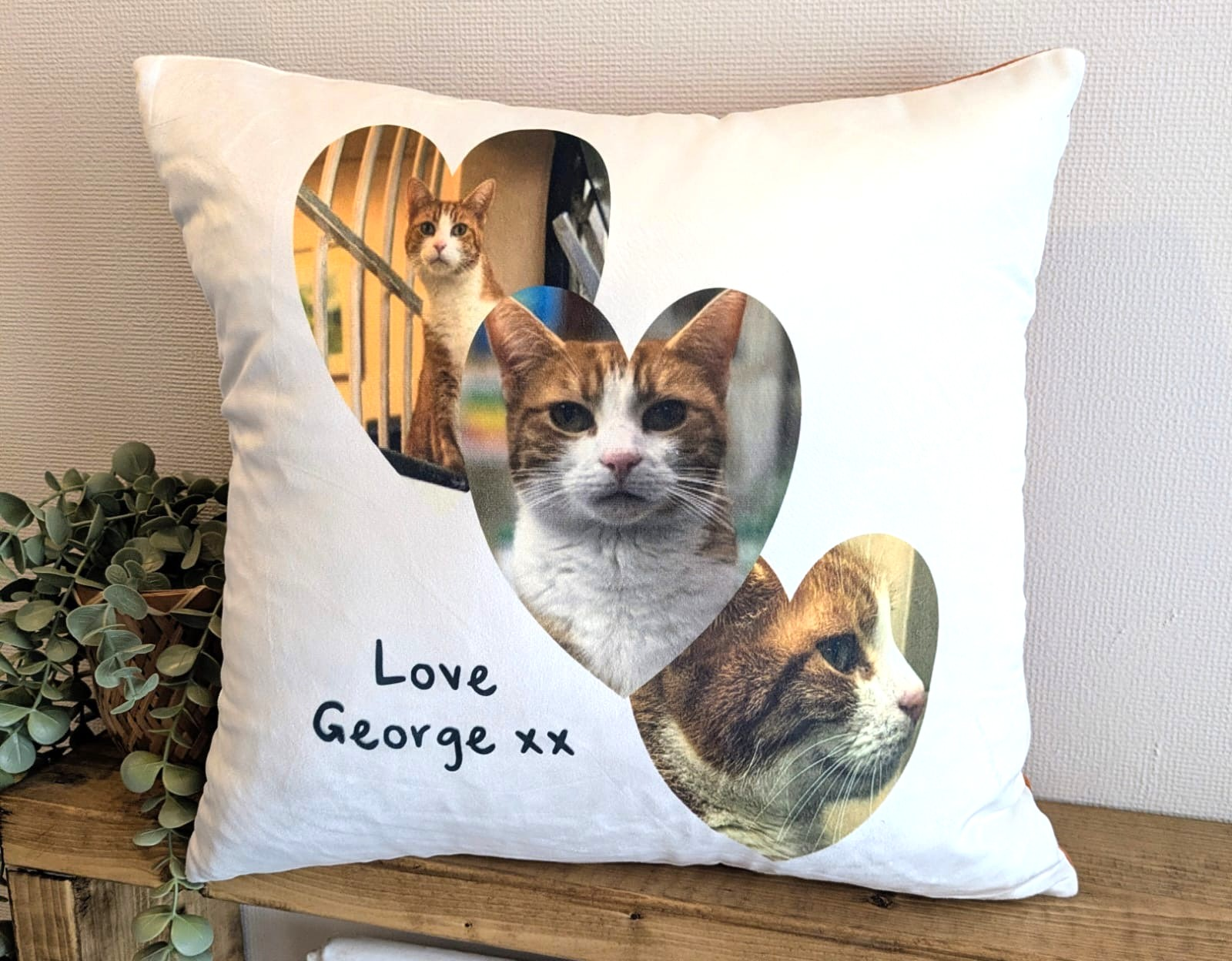 New Love George Cushion