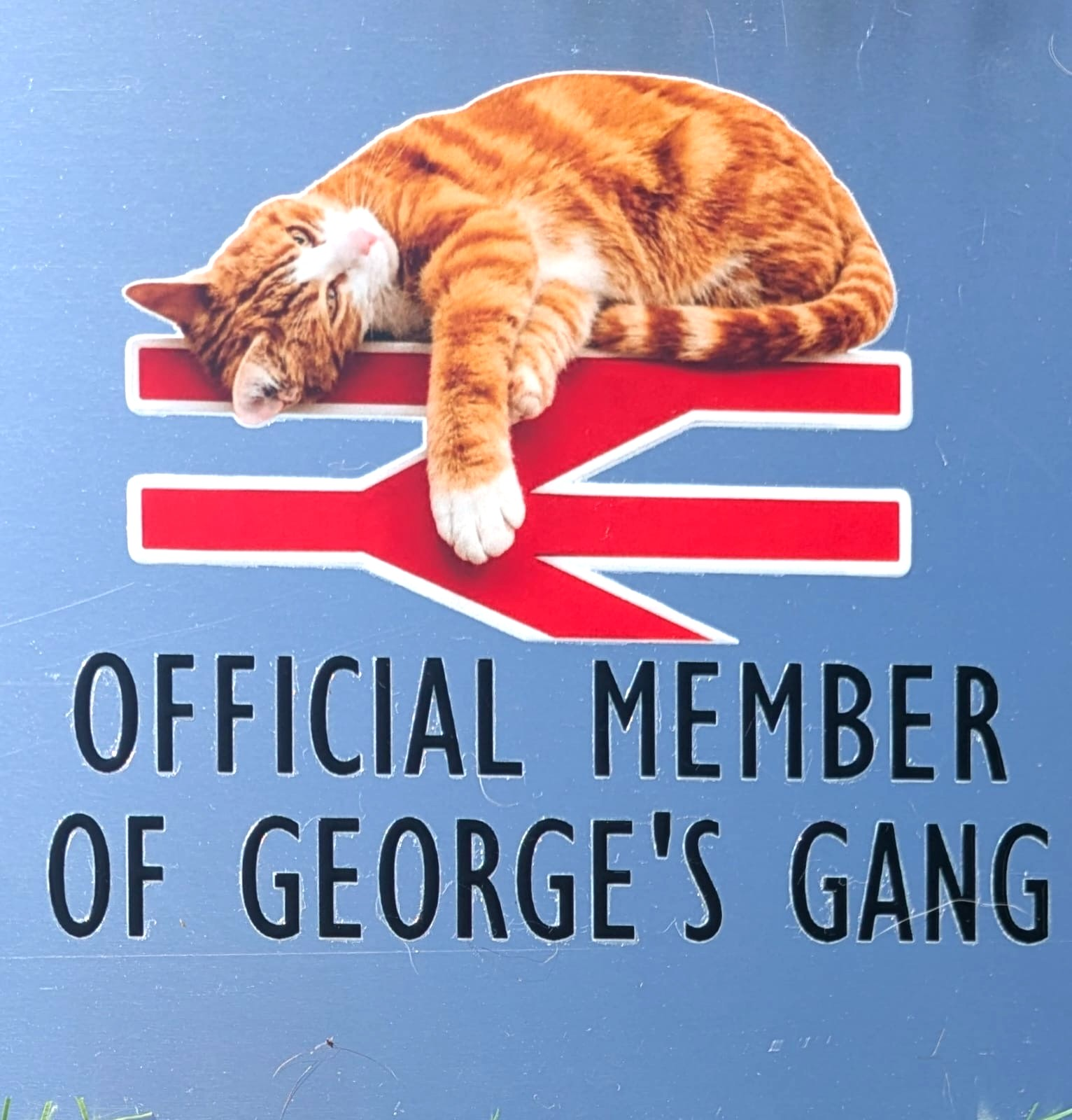 Brand New George Car Stickers