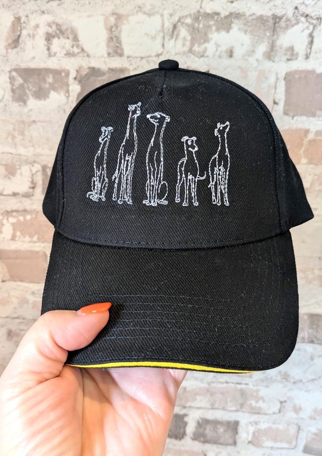 New Embroidered Sandwich Peak Cap