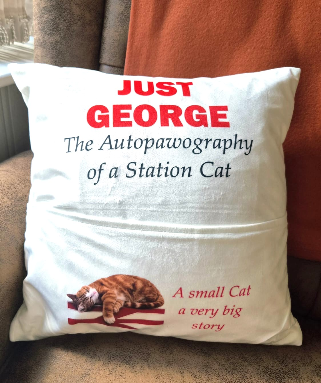 George's New Reading Cushions